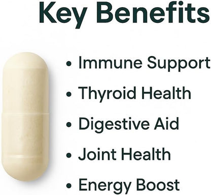 Organic Irish Sea Moss Symphony (60 Vegan Capsules)– 1200 mg Irish Sea Moss with Bladderwrack & Burdock Root