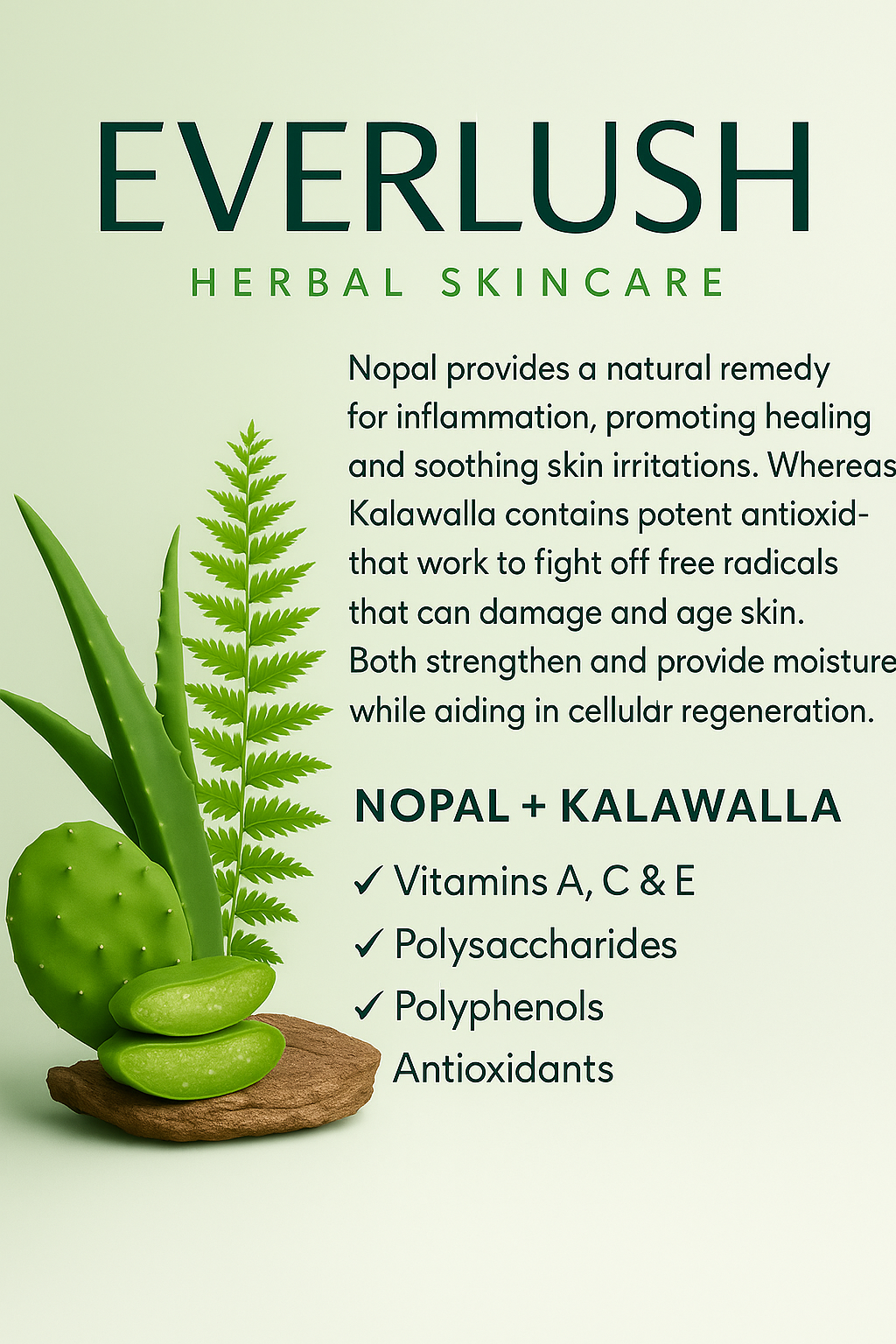 EverLush Herbal Skincare featuring Nopal and Kalawalla—rich in vitamins A, C & E, antioxidants, and polysaccharides that calm inflammation, hydrate, and repair skin naturally.